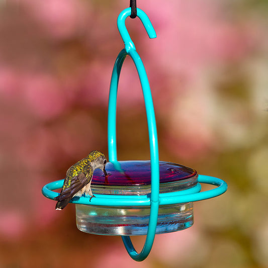 Hummble Bold Hummingbird Feeder Aqua With Nylon Rope