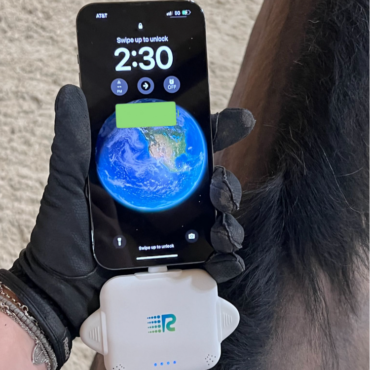 RC Universe 3-in-1 Charger