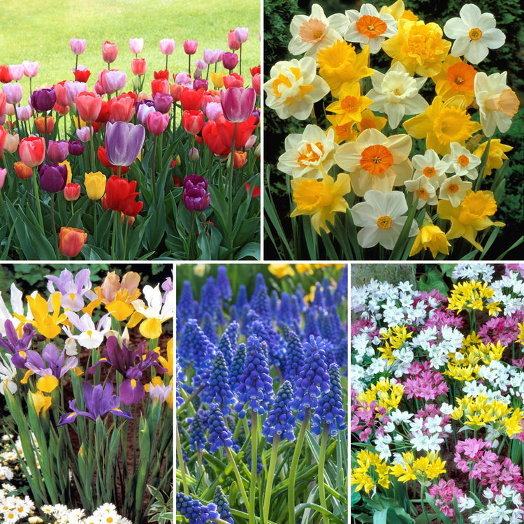 Cottage Farms Direct