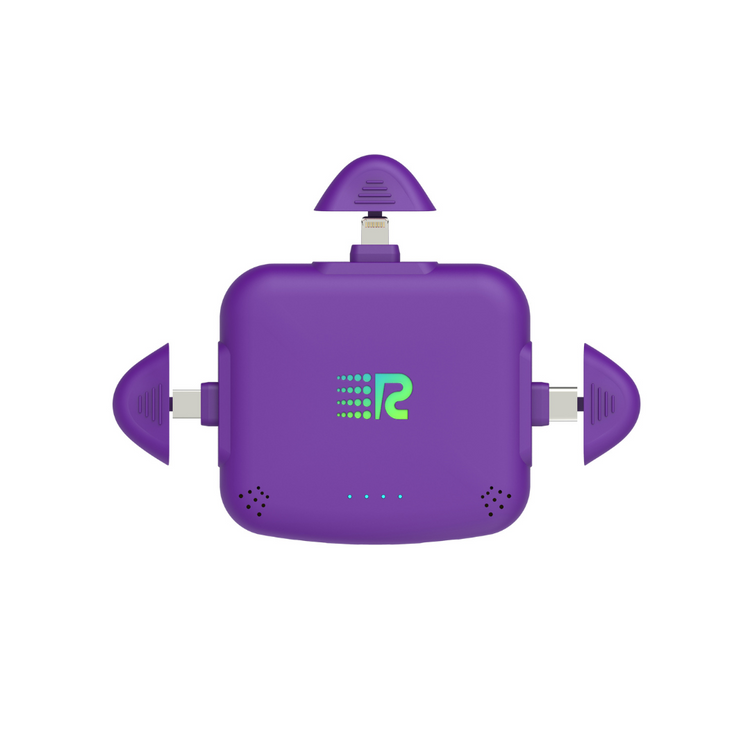 RC Universe 3-in-1 Charger