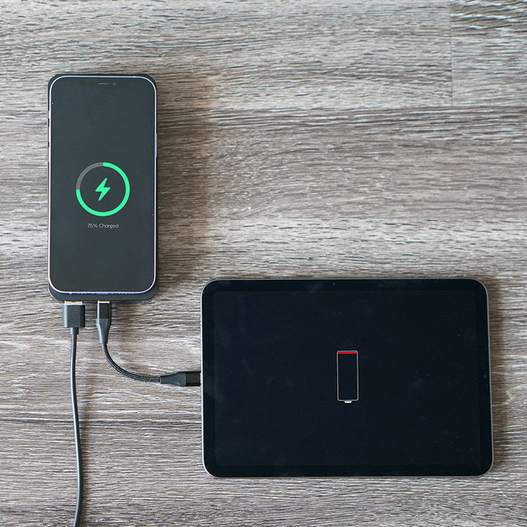 Limitless Power Bank + Docking Station