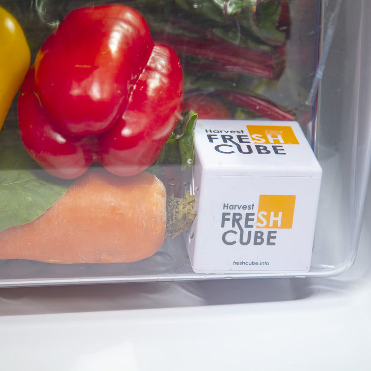 Harvest Fresh Cube - 2 Pack (6 months supply)