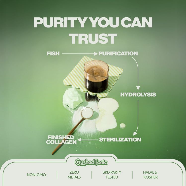 Diagram of a purification process with text 'Purity You Can Trust' on a green background.