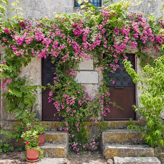 Floral archway over a door with pink flowers and greenery