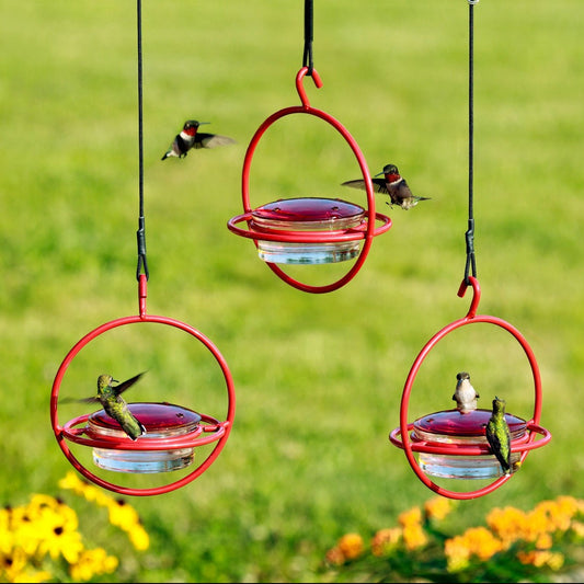 Hummble Bold Hummingbird Feeder Red With Nylon Rope