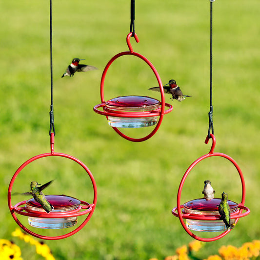 Hummble Bold Hummingbird Feeder Red With Nylon Rope