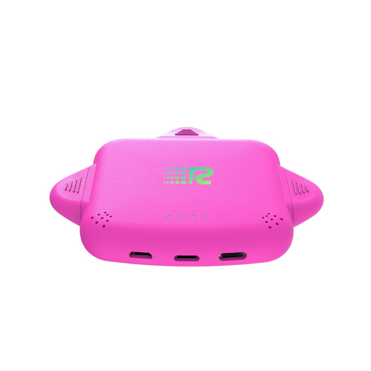 RC Universe 3-in-1 Charger