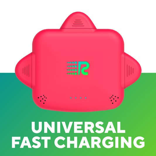 RC Universe 3-in-1 Charger
