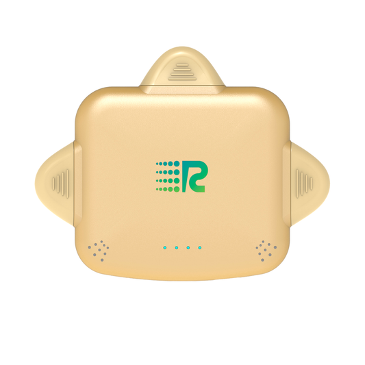 RC Universe 3-in-1 Charger (Gold)