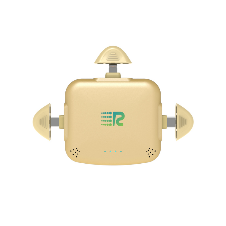 RC Universe 3-in-1 Charger (Metallic Gold)